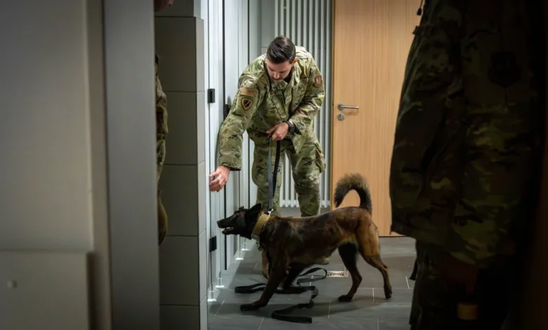 Detection dog and handler inspect lockers for 52nd Security Forces Squadron certification.