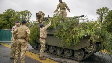 British Army soldiers camouflage an Ajax vehicle with foliage.
