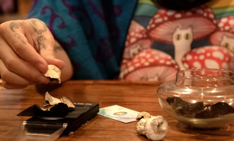 Hand weighing psychedelic mushrooms on a scale.