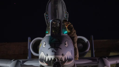 A-10 Thunderbolt II with shark teeth nose art being inspected at night.