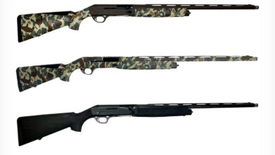 Sauer SL5 Waterfowl 12-gauge semi-auto shotguns in camo and black.