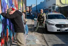 People against a mural wall being searched by a sheriff's deputy and patrol car during "Exercise Sourdough" in San Francisco.