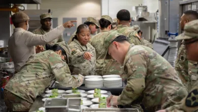 Army cooks preparing food in a kitchen, plates with appetizers.
