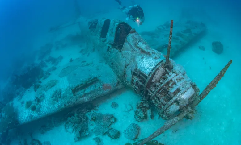 Diver explores a submerged WWII airplane wreck on the ocean floor.