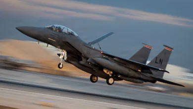 F-15 Eagle fighter jet taking off with afterburners engaged, desert backdrop. Tail code LN visible.